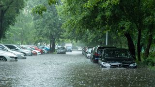 Flooded cars, like a flood of used graphics cards
