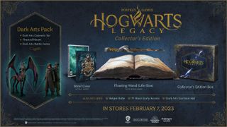 Hogwarts Legacy Collectors Edition