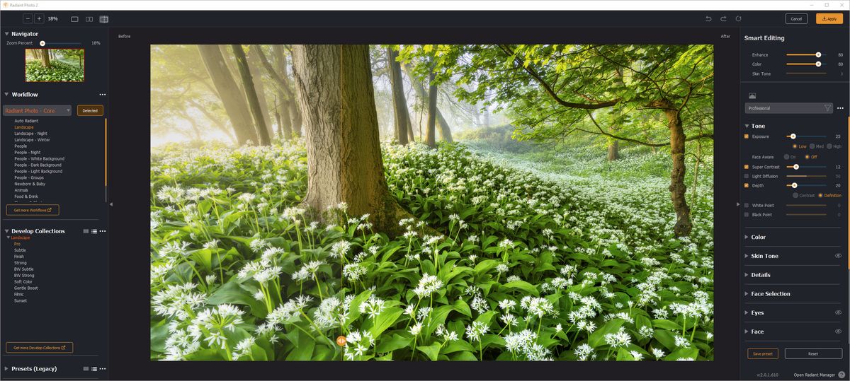 Radiant Photo 2 photo editing software with an image of green plants under a large tree trunk