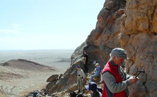 Looking for trilobites and other ancient marine fossils on a mud mound in Morocco.