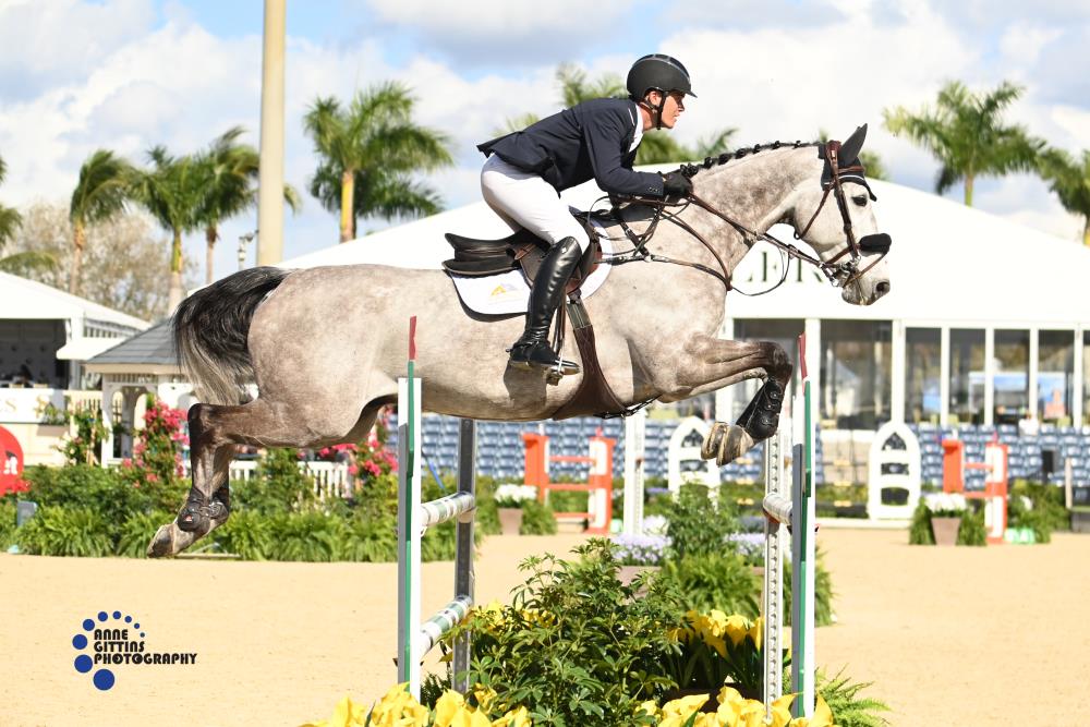 Tanner Korotkin makes his debut for his country in this week's Nations Cup at the Winter Equestrian Festival