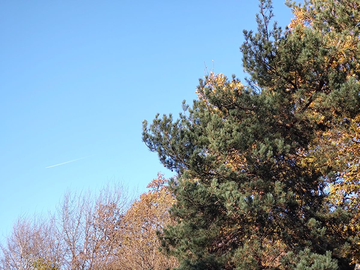 A Motorola Edge 20 camera sample
