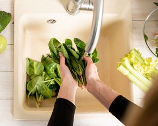 person washing vegetables and salad leaves in ceramic sink