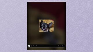 Screenshot on Samsung Galaxy Z Fold3 showing an image of a dog with a lasso selection on it