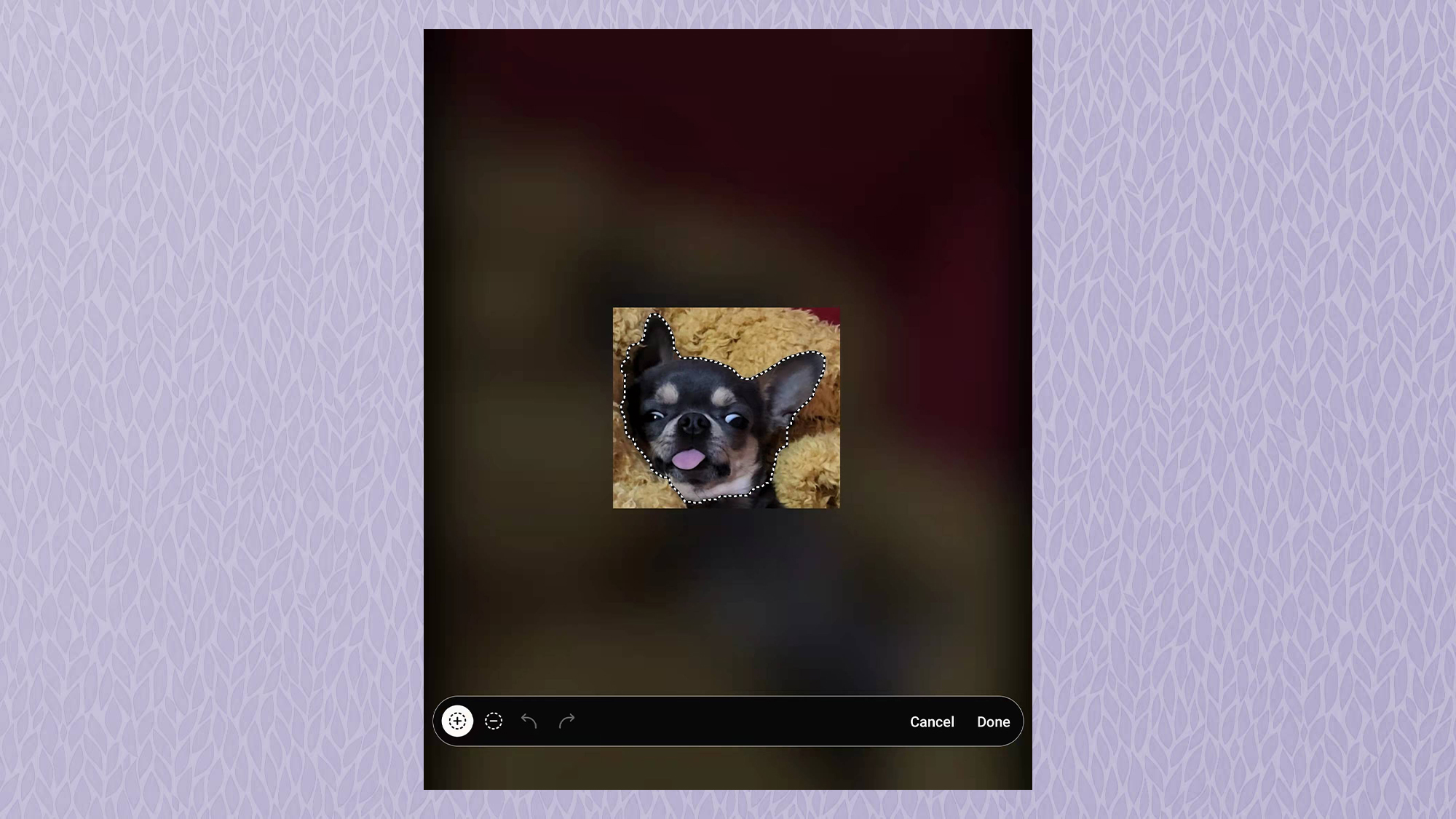 Снимок экрана Samsung Galaxy Z Fold3 с изображением собаки с выделенным лассо