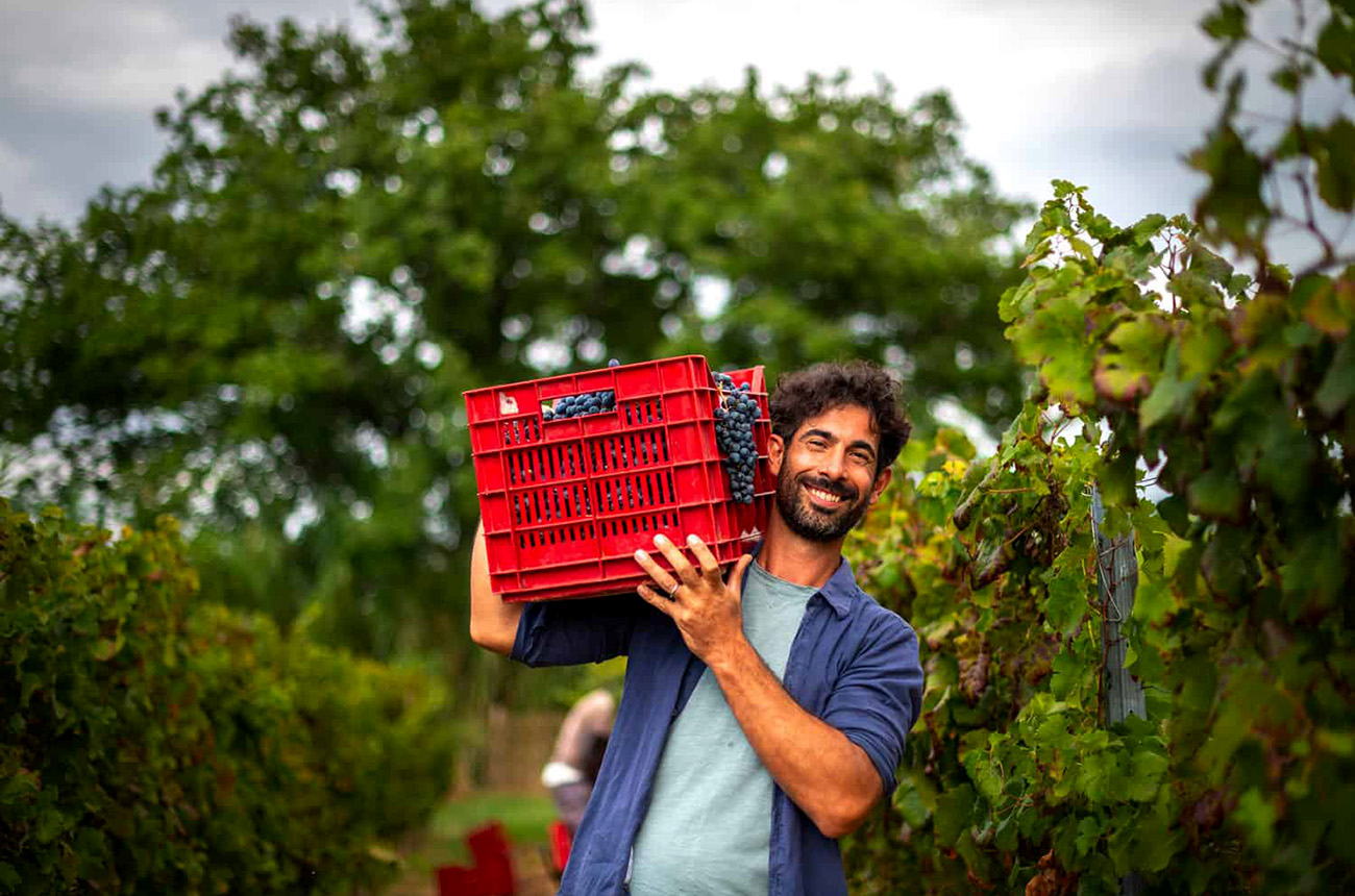 Dario di Vaira in the vineyard