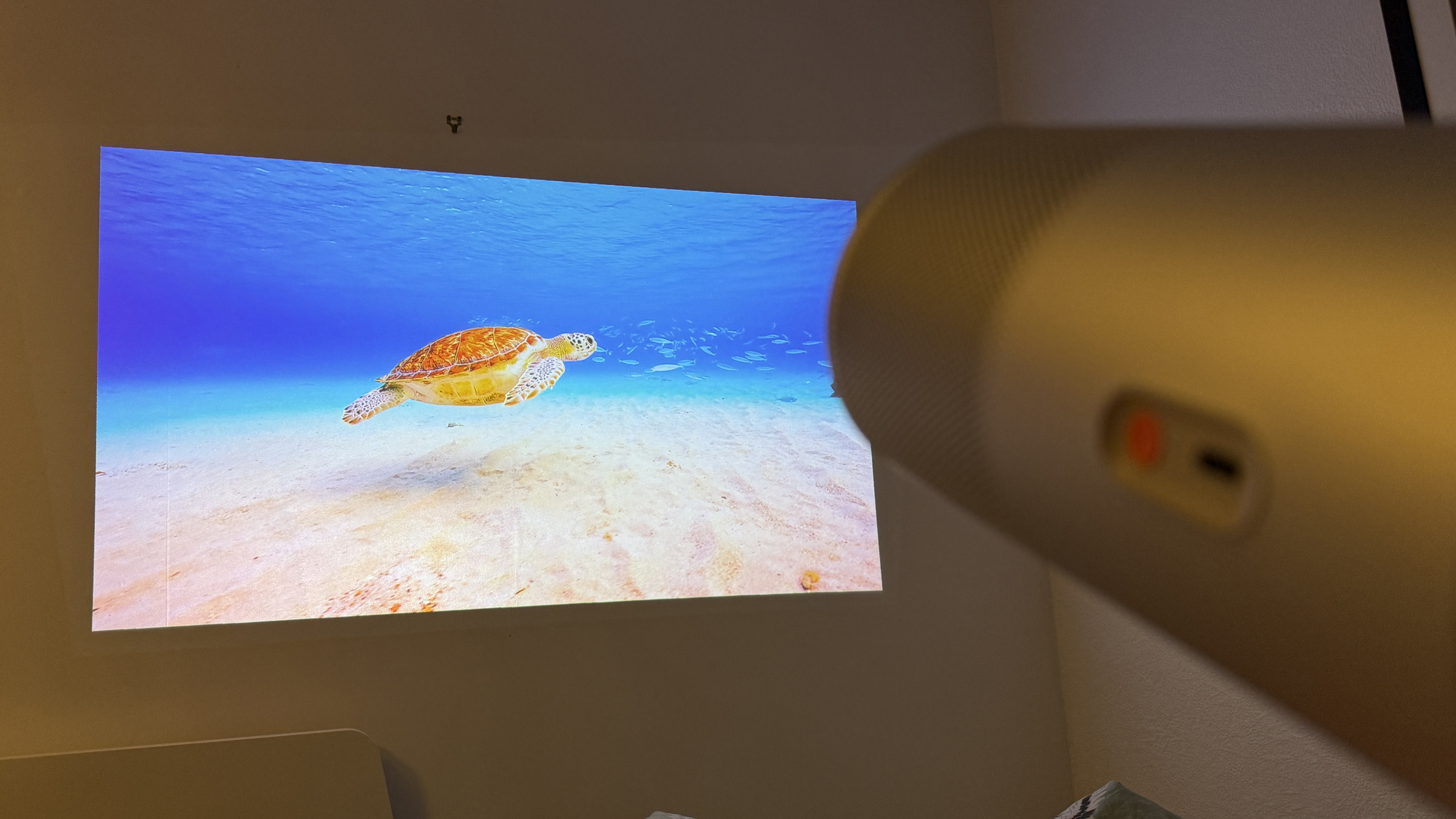 The XGIMI MoGo 4 portable projector projecting an image of a sea turtle