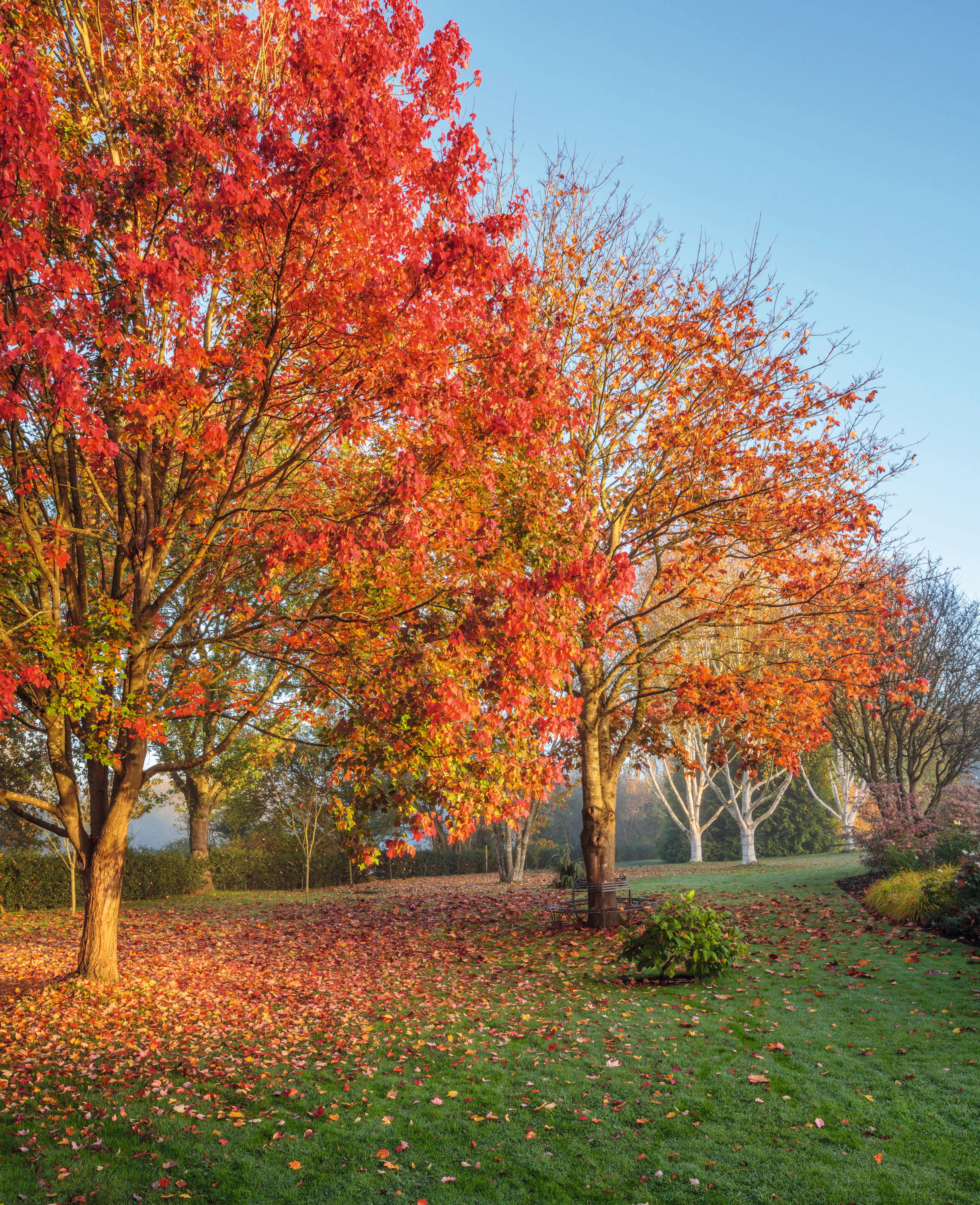 John Massey&#039;s garden photographed by Clive Nichols