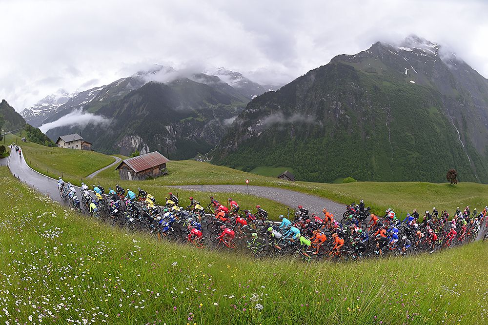 The peloton riding in stage 6 Tour de Suisse