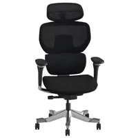 FlexiSpot C7 Morpher Ergonomic Chair FlexiSpot C7 Morpher Ergonomic Chair