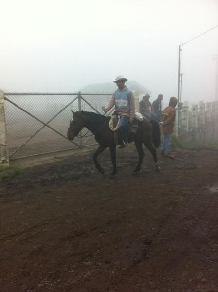 A real live cowboy en route
