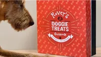 Personalised dog treat advent calendar