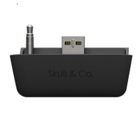 Skull &amp; Co Bluetooth adapter |