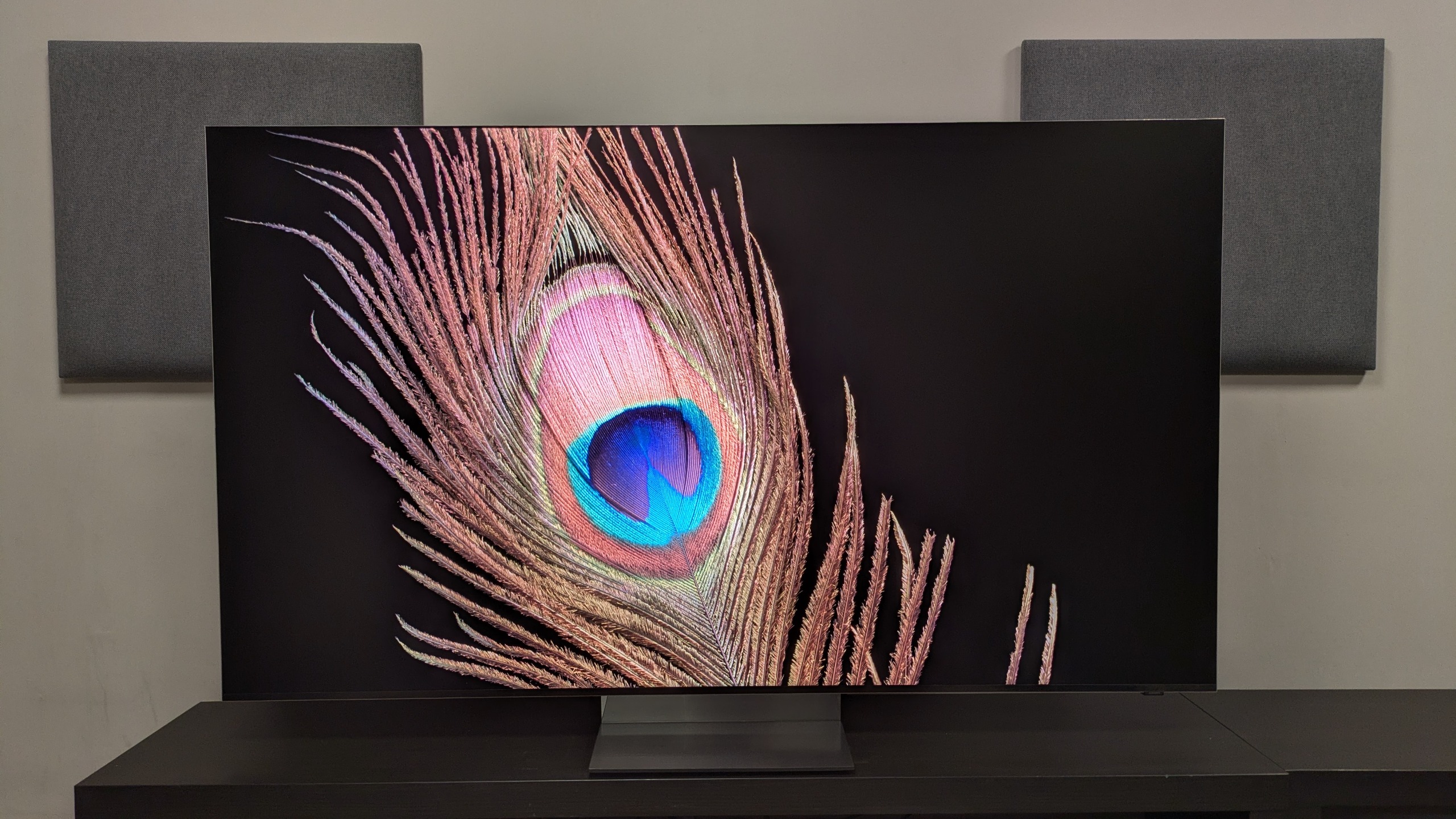 Samsung R95H with a shot of a peacock feather on screen