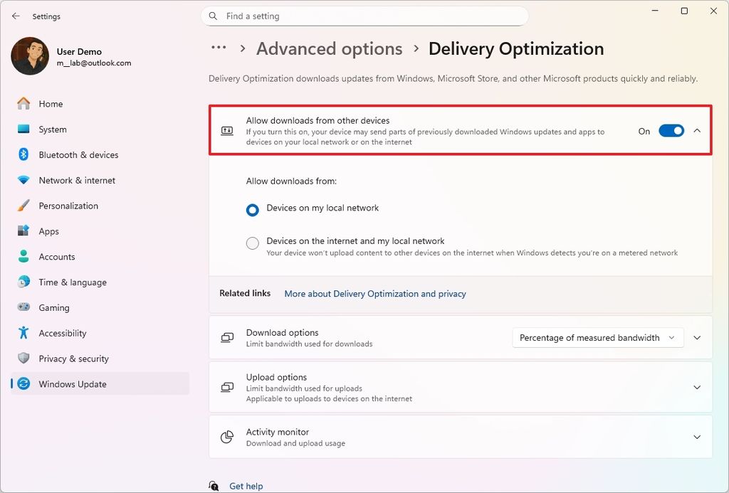 Windows 11 Delivery Optimization