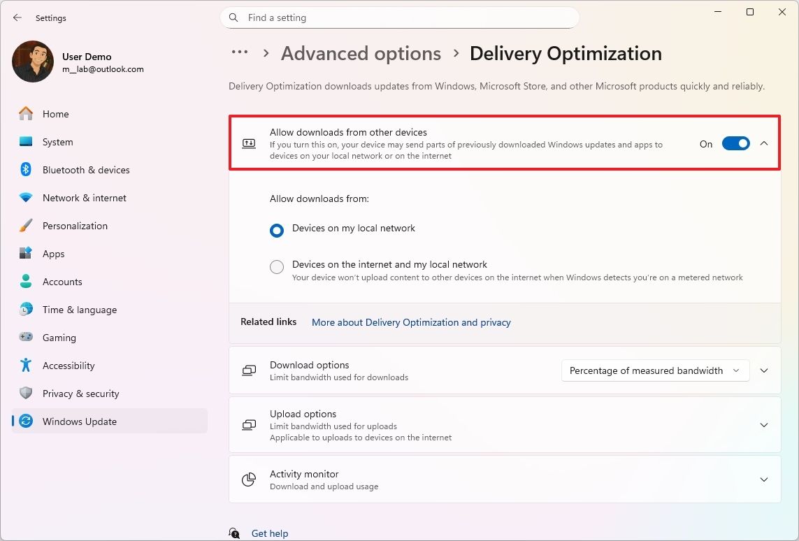 Windows 11 Delivery Optimization