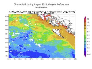 Chlorophyll levels off Canada's west coast in August, 2011, before the controversial fertilization project.