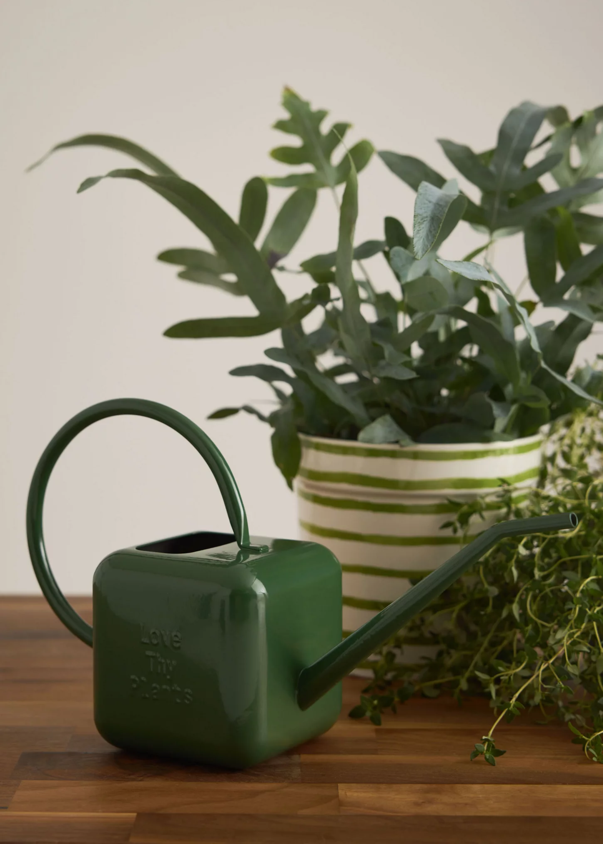 A green watering can near a potted houseplant
