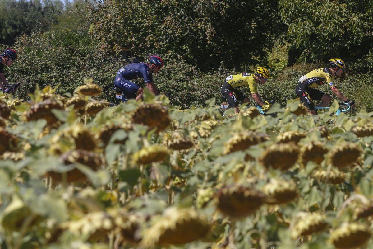 iTour de France 2020 107th Edition 11th stage Chatelaillon Plage Poitiers km 1675 09092020 Primoz Roglic SLO Team Jumbo Visma photo Jan De MeuleneirPNBettiniPhoto2020