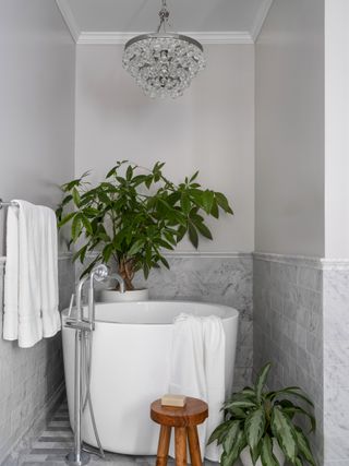 A small bathroom with plants