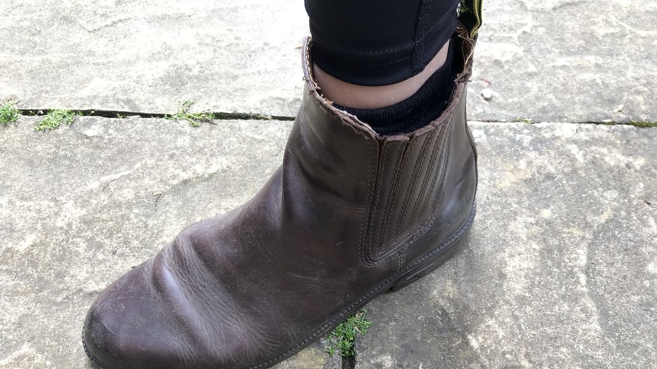Ariat length