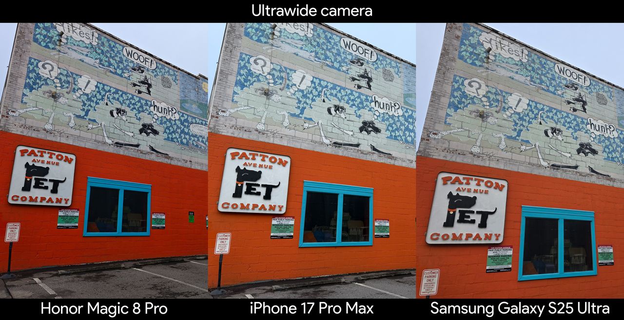 A camera sample using the ultrawide camera on an Honor Magic 8 Pro, Samsung Galaxy S25 Ultra, iPhone 17 Pro Max