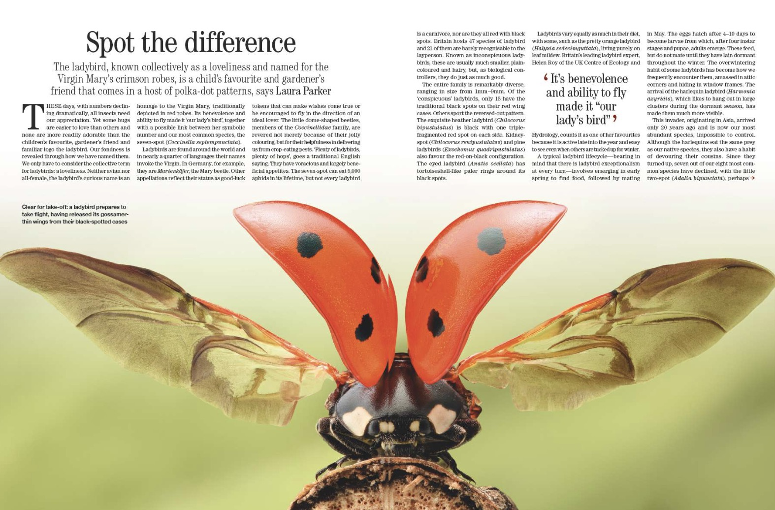 Country Life 14 May 2025