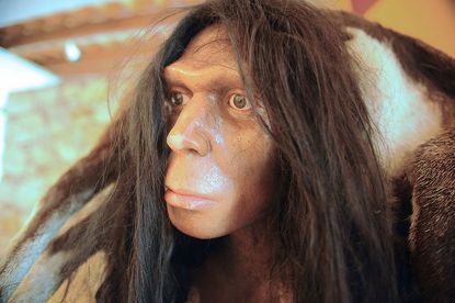 A museum model of a Neanderthal ancester
