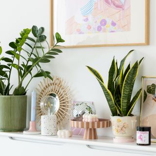 White mantelpiece, potted plants, candle, misc home decor