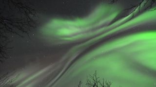 Aurora Over Swedish Park