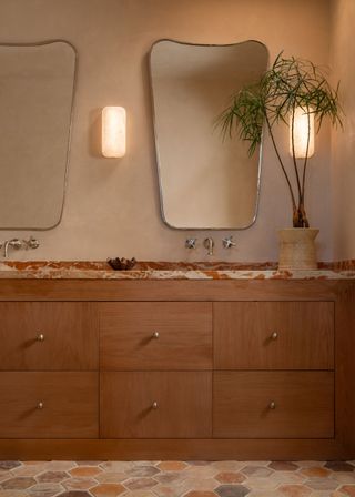 Two large mirror in a bathroom with lighting on each side. A large plant is placed beside the mirror and under it is a group of draws with extra storage.