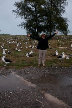 midway atoll images, papahanaumokuakea