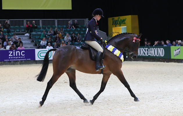HOYS 2018 free PR images in HOYS context