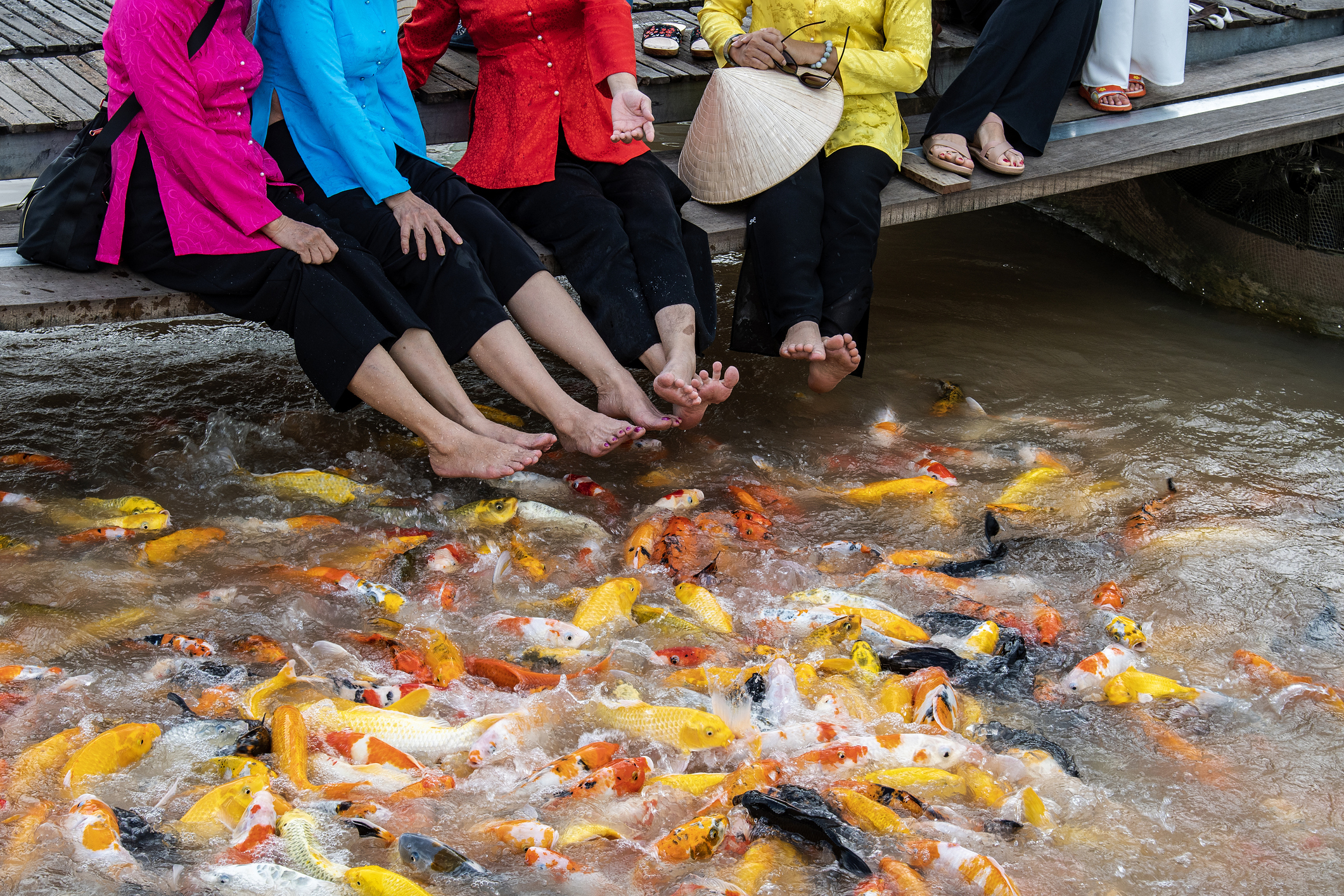 Women dressed in traditional clothes dangle their feet in a pool while swarming colorful fish nibble at their toes and feet.