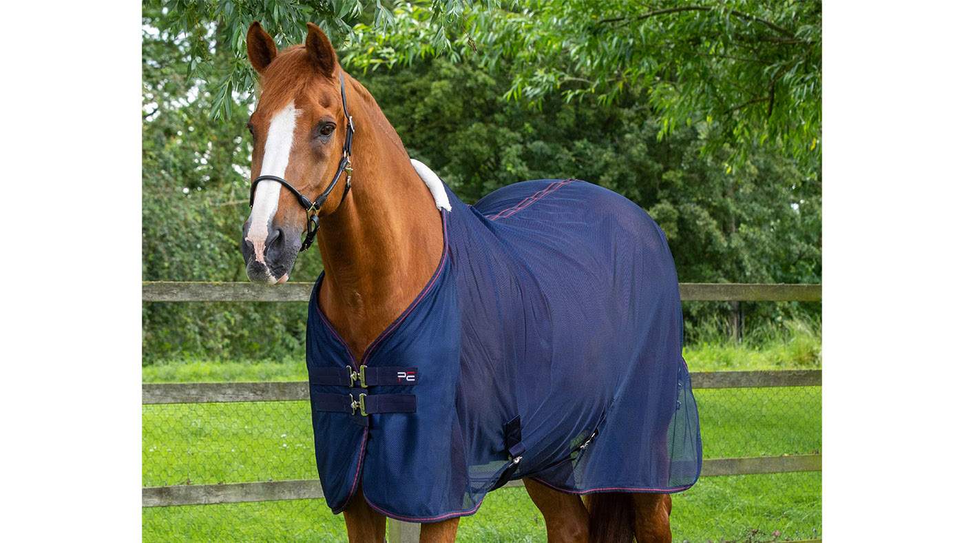 Premier Equine Ventoso mesh cooler travel rug for horses