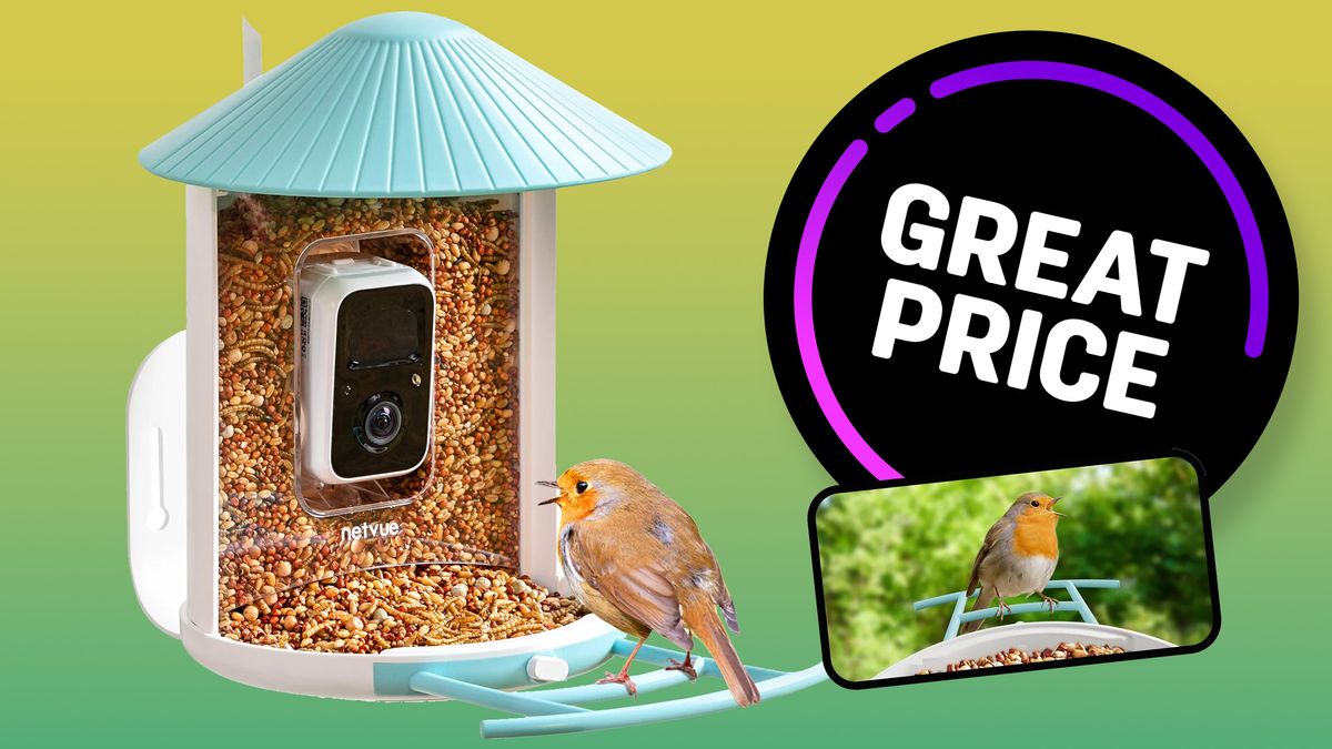 Netvue Birdfy Smart Bird Feeder on a green background with &#039;Great Price&#039; roundel and smartphone displaying robin 