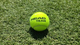 Head Team tennis ball