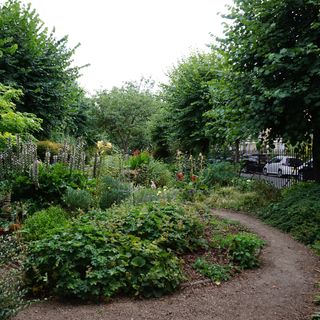 Dalston garden square