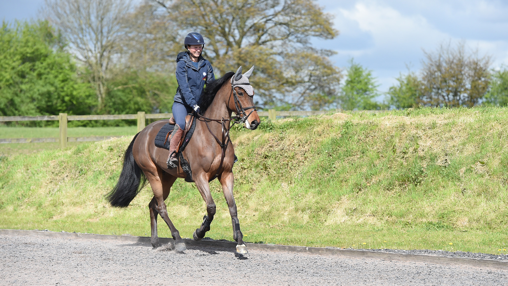 Rider cantering bay horse in arena