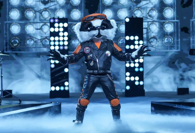 The Masked Singer UK Winners Who Has Won The Show What To Watch The Masked Singer UK Winners Who Has Won The Show What To Watch