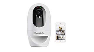 best pet camera: Pawbo Life pet camera