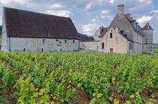 Chateau du Clos de Vougeot