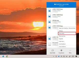 OneDrive view online option