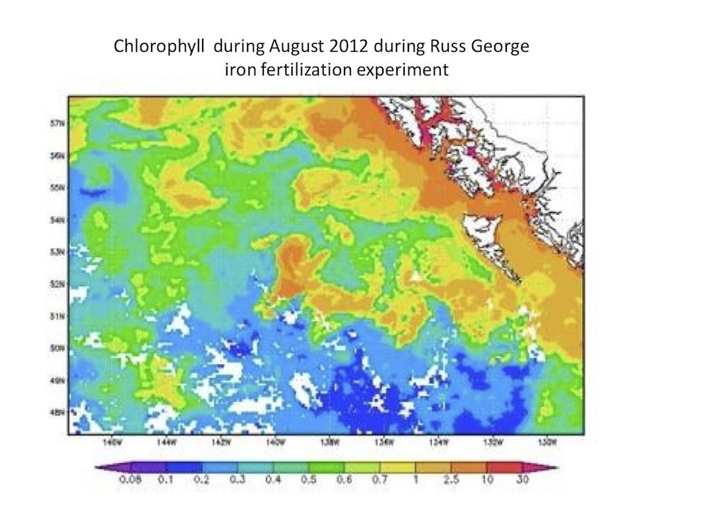 Chlorophyll after Russ George and HSSC iron fertilization. 