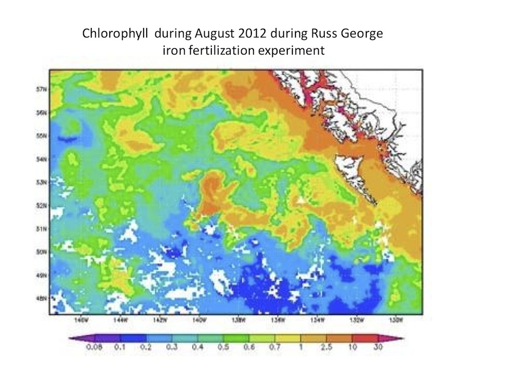 Chlorophyll after Russ George and HSSC iron fertilization.