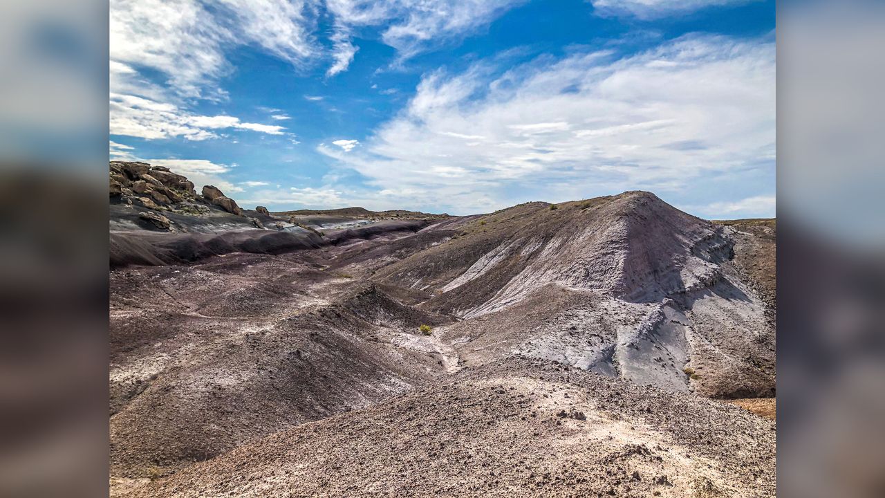 When it comes to finding dinosaur gastroliths in the Morrison Formation, "It's hit or miss when looking for them, but when you find a couple in one area, there's usually a lot," Josh Malone said.