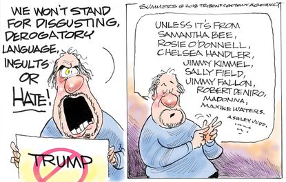 Political cartoon U.S. free speech Trump democrats celebrities Samantha Bee Rosie O’Donnell Chelsea Handler Jimmy Kimmel anti-Trump