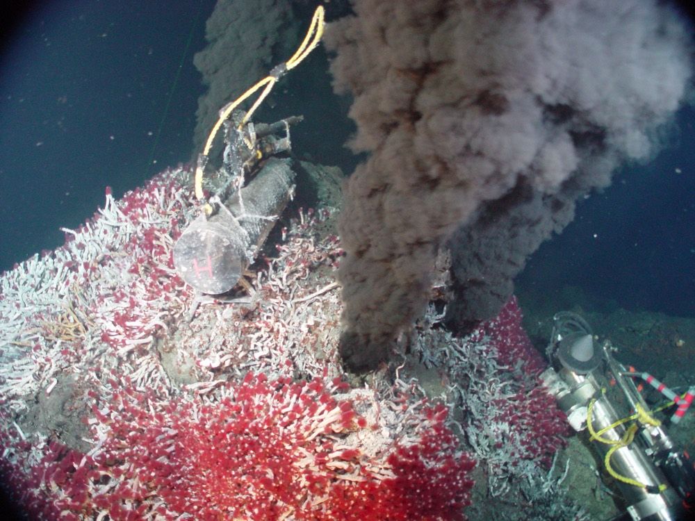 Sully Vent in the Main Endeavour Vent Field along the Juan de Fuca Ridge.