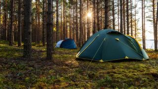 Large green tent next another tent in a forest with sun coming through the trees