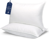 2. Cozsinoor Queen Pillows: was $60